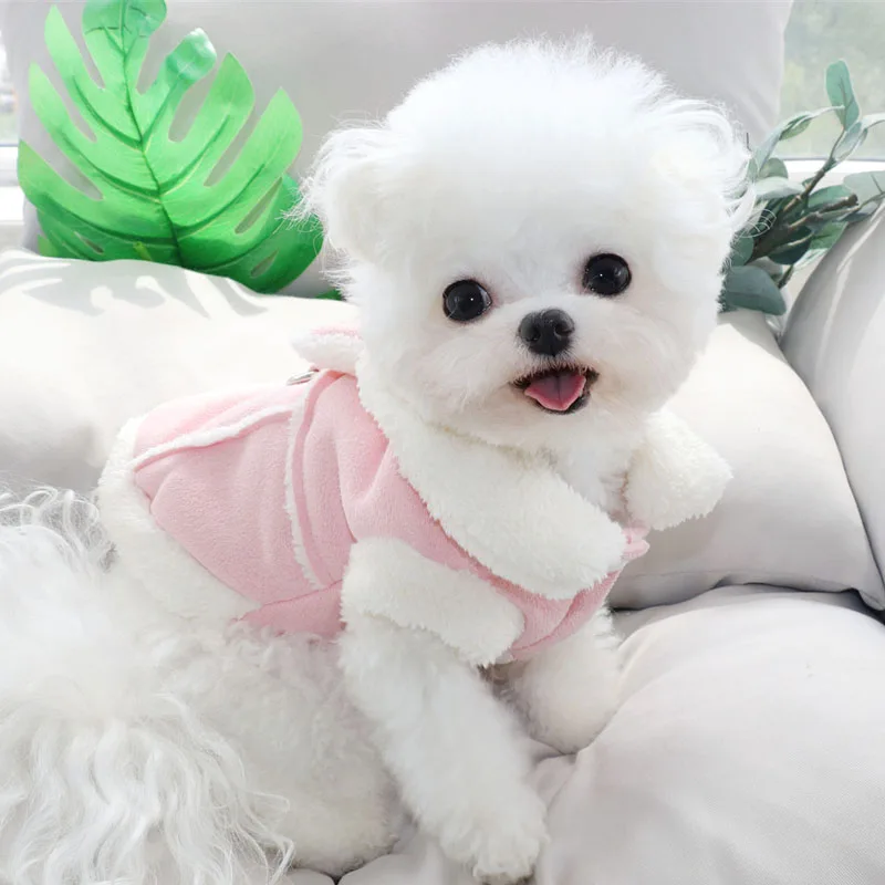 

Warm Teddy Cotton Coat Autumn/Winter Bears Coat Small Dog Thickened Clothes Pet Bow Jacket Solid Dog Clothes