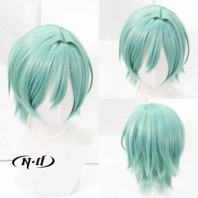 ND Tatsumi Kazehaya Cosplay Wigs Hairpiece Ensemble Stars Cosplay Hair Wigs for Comic Con Coser Costume Party Heat Resistant Syn