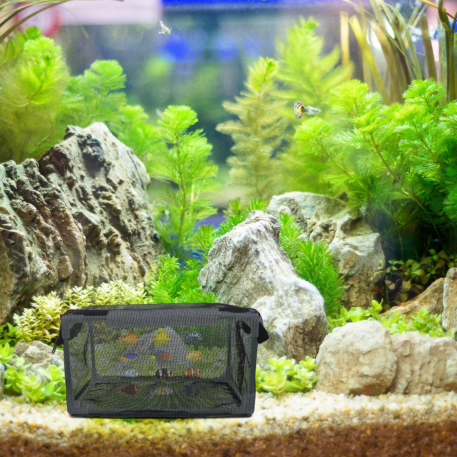 Aquarium-Zuchtkasten mit Netz  – Fish Toy In Aquarium Bewertung und Preis
