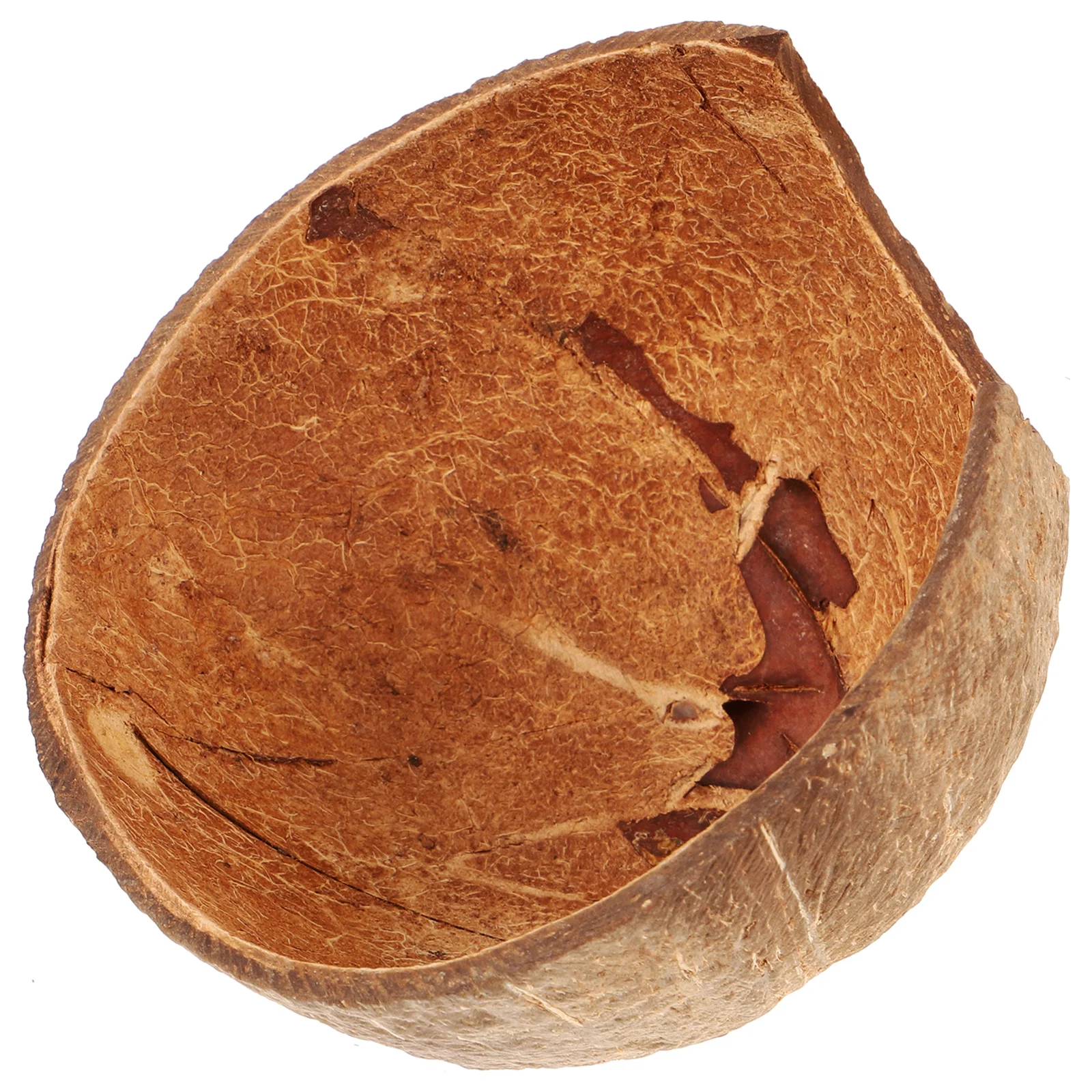 

Natural Coconut Shell Hideout House Reptile Habitat Decor Leopard Gecko Humid Cave Tank Accessories Snake Shelter Tarantula