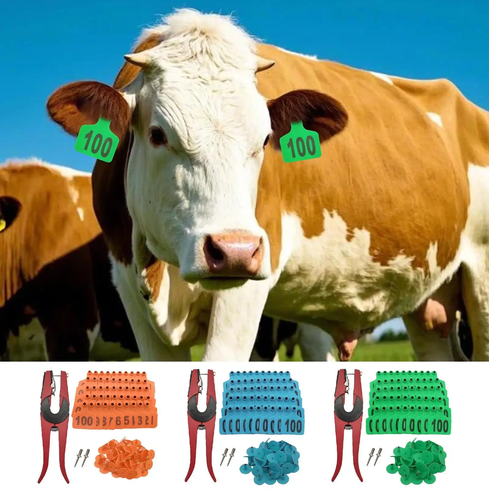 

Ear Tags For Cattle Sheep Monitoring Labels 001-100 Numbered Ear Tags With Applicator For Wildlife Tracking Beef Cattle Breeding