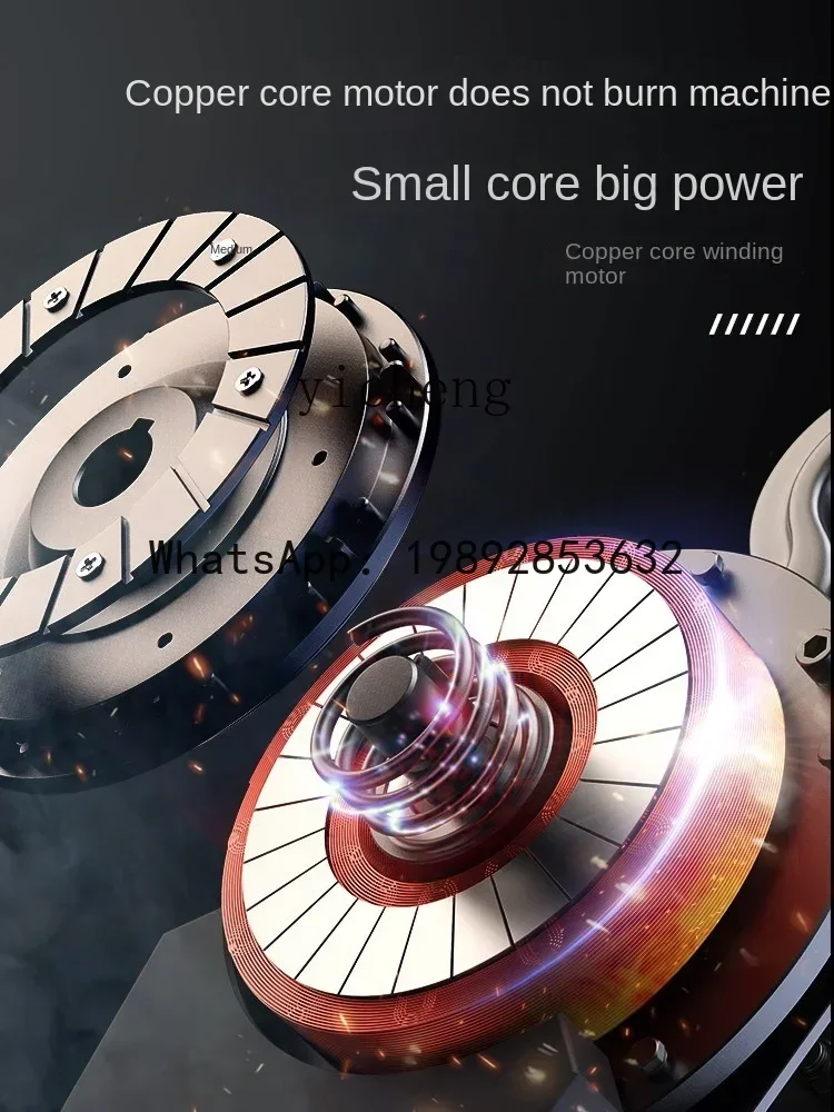 A1 ring chain electric hoist reverse chain hoist lift