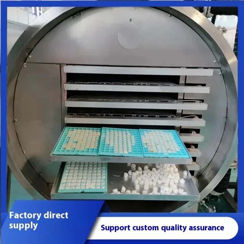 

Низкотемпературная производственная линия для сублимационной сушки лимона и апельсина, машина для вакуумной замораживания свежих цветов фруктов и овощей