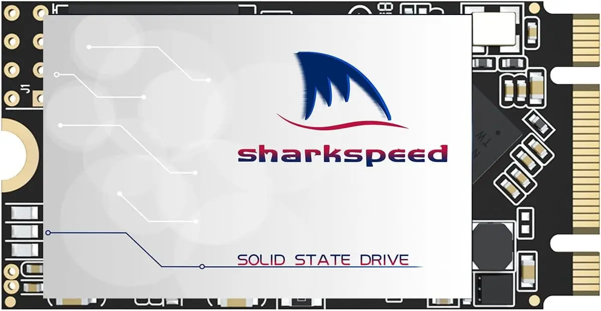 256GB M.2 2242 SSD Internal Solid State Drive for Laptops and Desktops with SATA III Speed