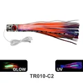 TR010-C2