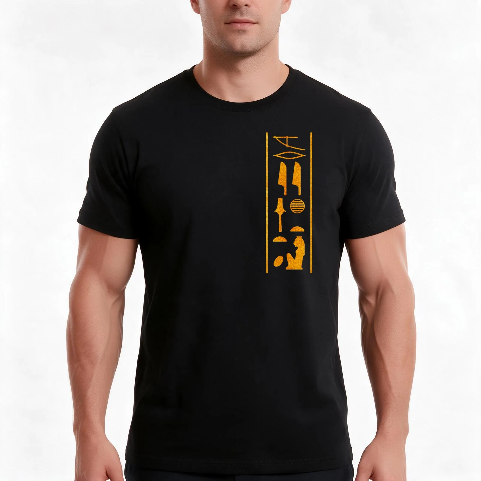 Beloved of Sekhmet. Gold Hieroglyphic T Shirt design: Original Artwork Copyright Stuart Littlejohn/QPublishing 2019 T-Shirt