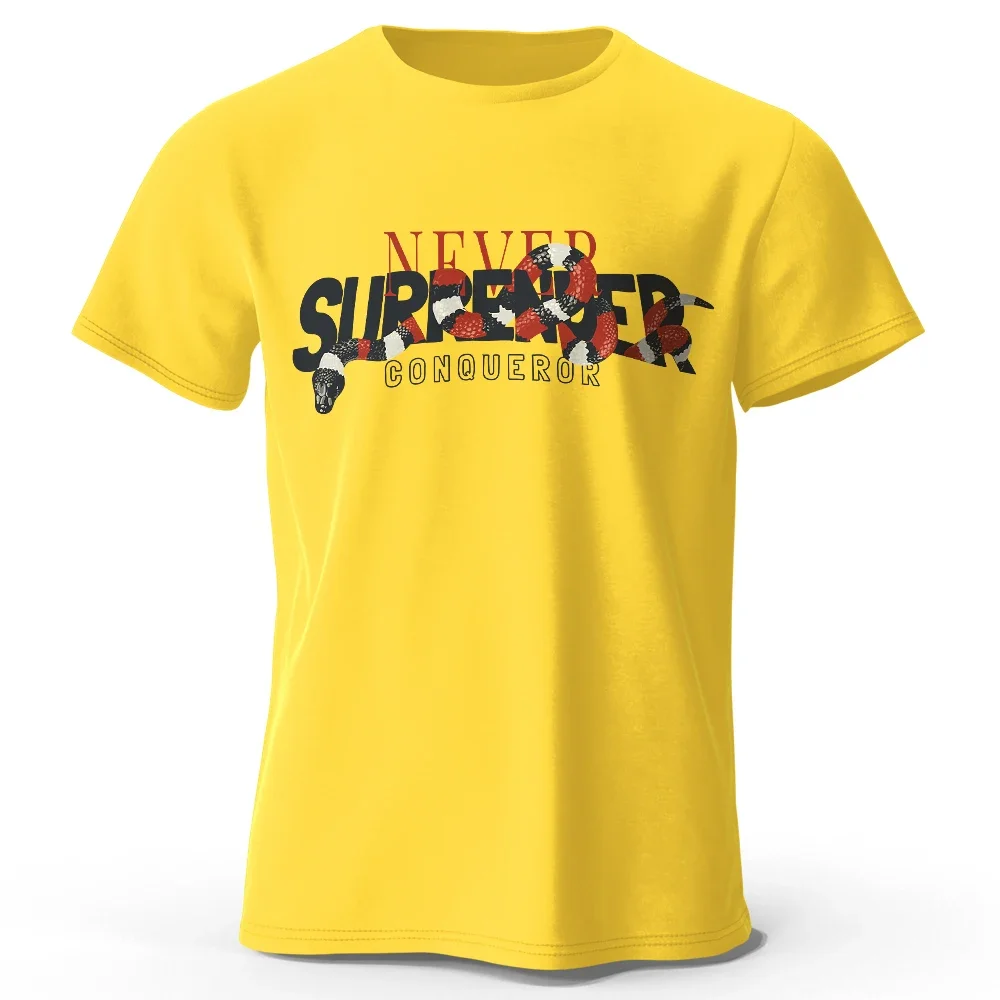 

2025 Summer new pattern T-shirt 100% cotton loose y2k casual men's clothes breathable with all fashion T-shirt