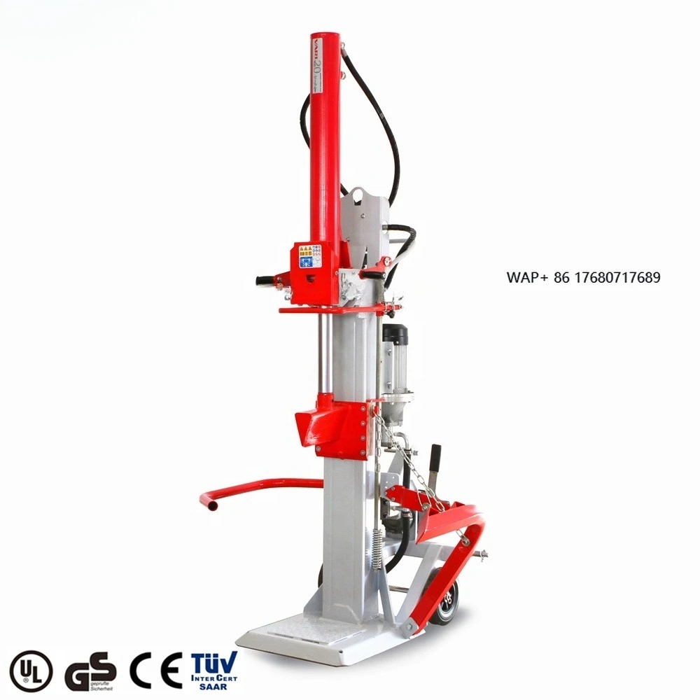 Europe Top Standard Cheap 400V 50HZ Electric 30 Ton Wood Log Splitter for Sale