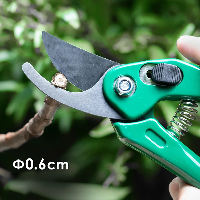 Japan Orchard Tool Trim Garden Scissor, bypass Shear Pruning, Bonsai Shrub, Tree Graft Cutter, Anvil Branch, Hand Pruner