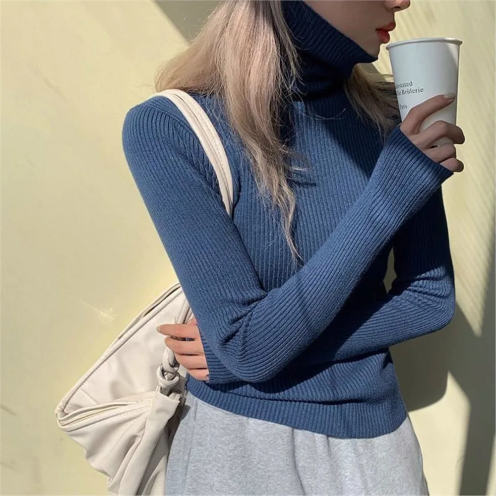 MsChuh Autumn Winter Thick Sweater Women Knitted Ribbed Pullover Sweater Long Sleeve Turtleneck Slim Jumper Soft Warm Pull Femme