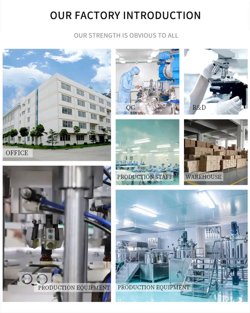 Natuurlijke Aromatherapie Olie Luchtbevochtiger Diffuser Essentiële Oliën Set Lavendel Wierook Pepermunt Rose Rozemarijn Lucht Fris Parfum