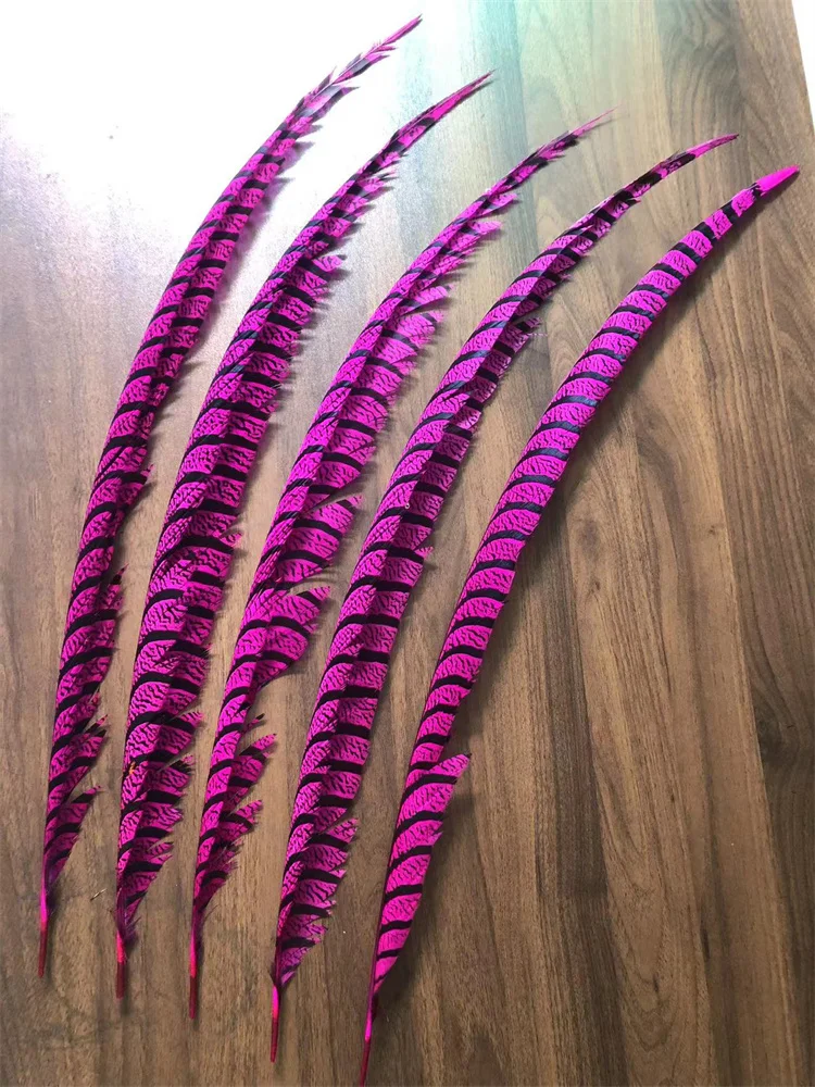 5PCS Hot Pink Dyed Zebra Pheasant Tail Feathers Natural Lady Amherst Pheasant Feather Plumes Carnival Backpieces Making Plumas