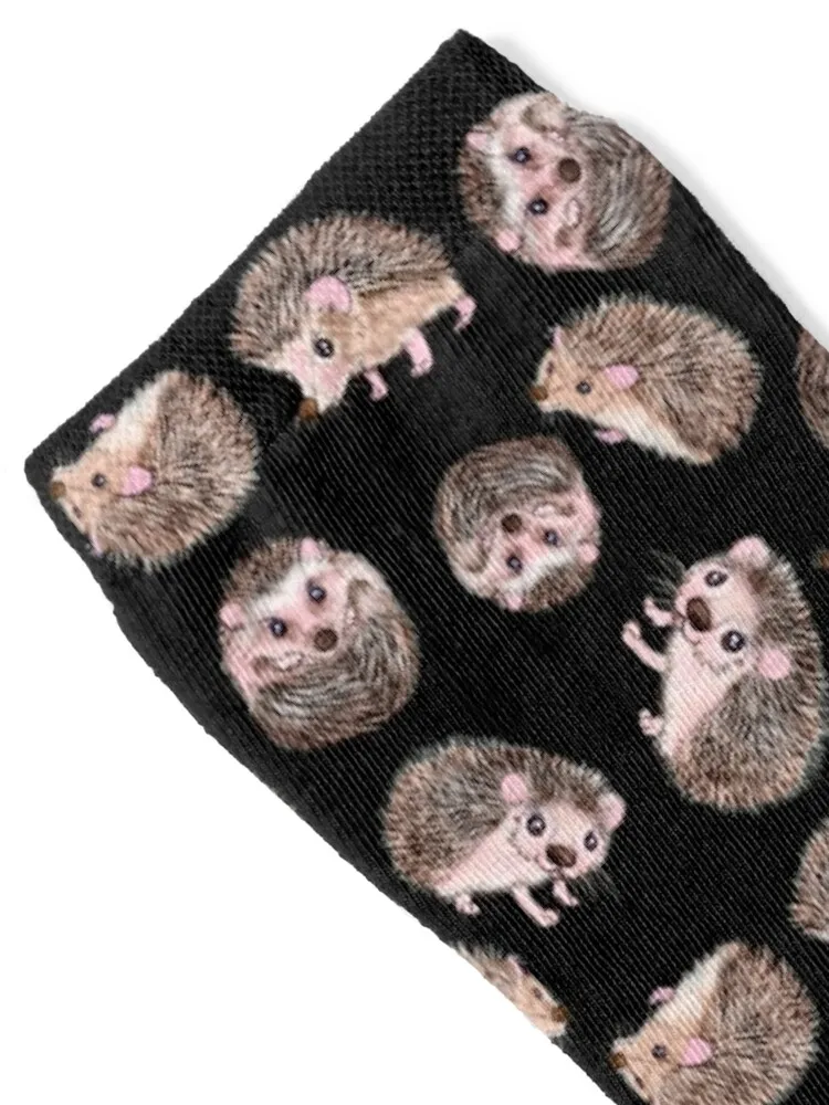 Hedgehogs Socks cotton sheer essential new year Men Socks Luxury Brand Women's