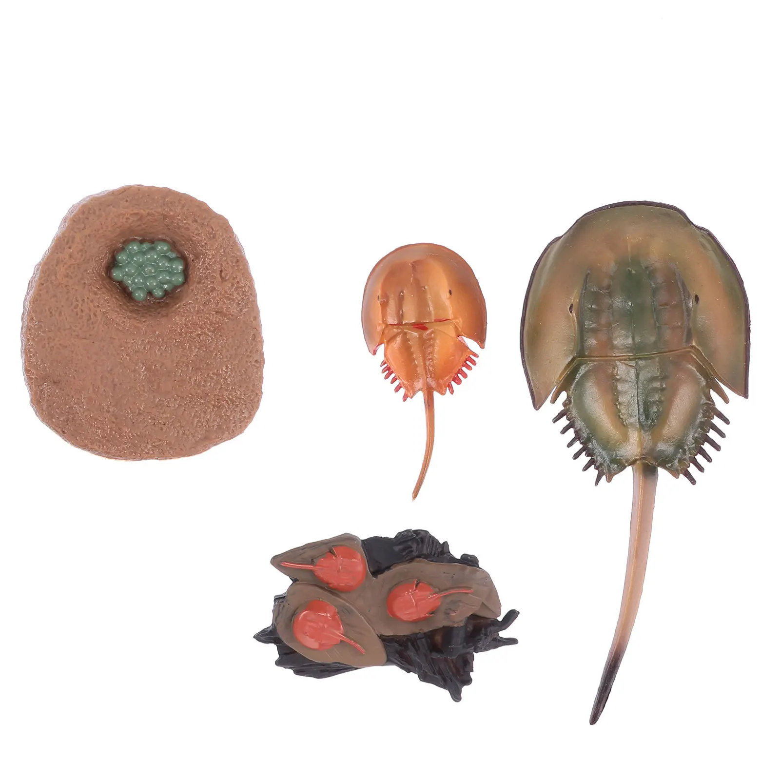 

1Set Horseshoe Animal Simulation for Kids Early Learning Home Desktop Decor Plastic Craft Science Cognition