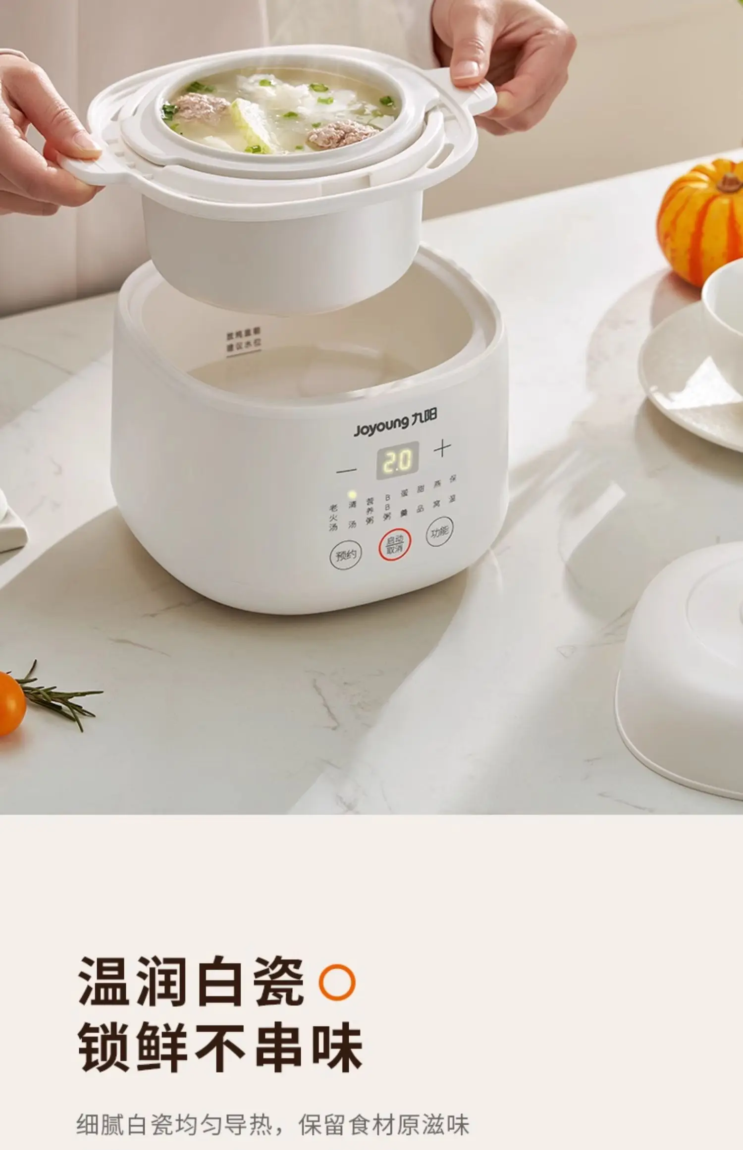 220V Electric Stewpot Ceramic Soup Cooker Baby Food Steamer Water Bath Cooking Machine