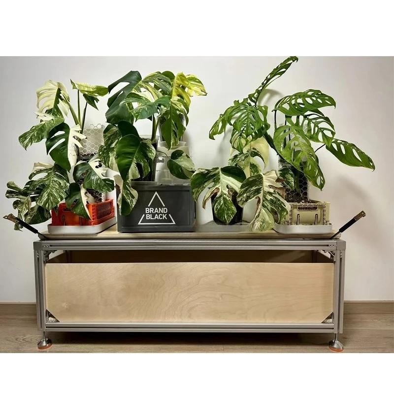 

Birch Ocean Board Flower Rack Shelf Floor to Floor Multi-layer Flower Pot Rack Balcony Flower Rack