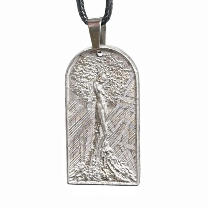 Muonionalusta Unique Tree of Life Meteorite Pendant Gift for Astronomy Lovers Meteorite Pendant Cosmic Protection Necklace LK340
