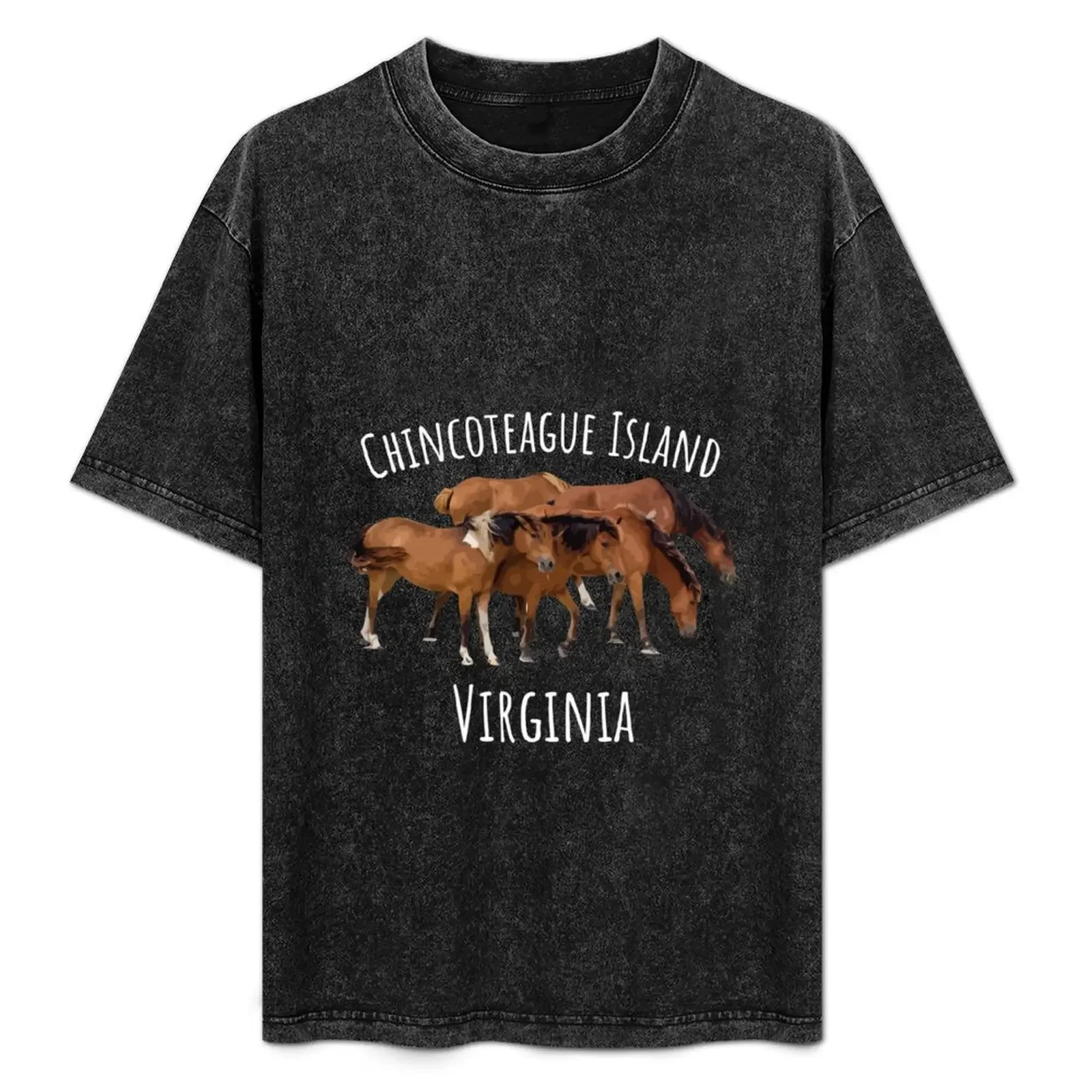 

Chincoteague Island Virginia Horse Assateague Pony T-Shirt blue lock vintage anime shirt anime t shirts men graphic t shirts