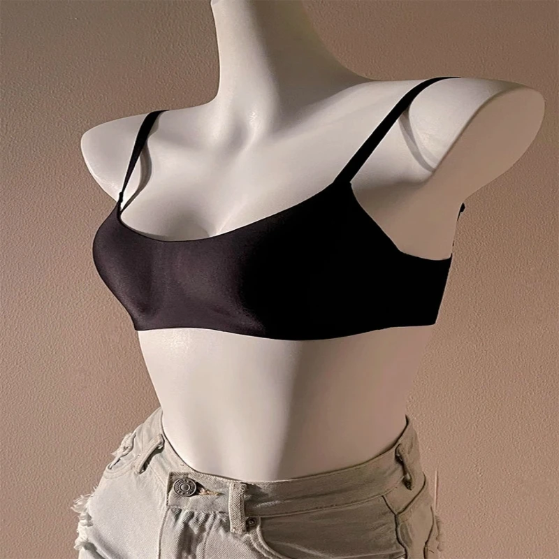 Nuevo Modelo Sujeta…