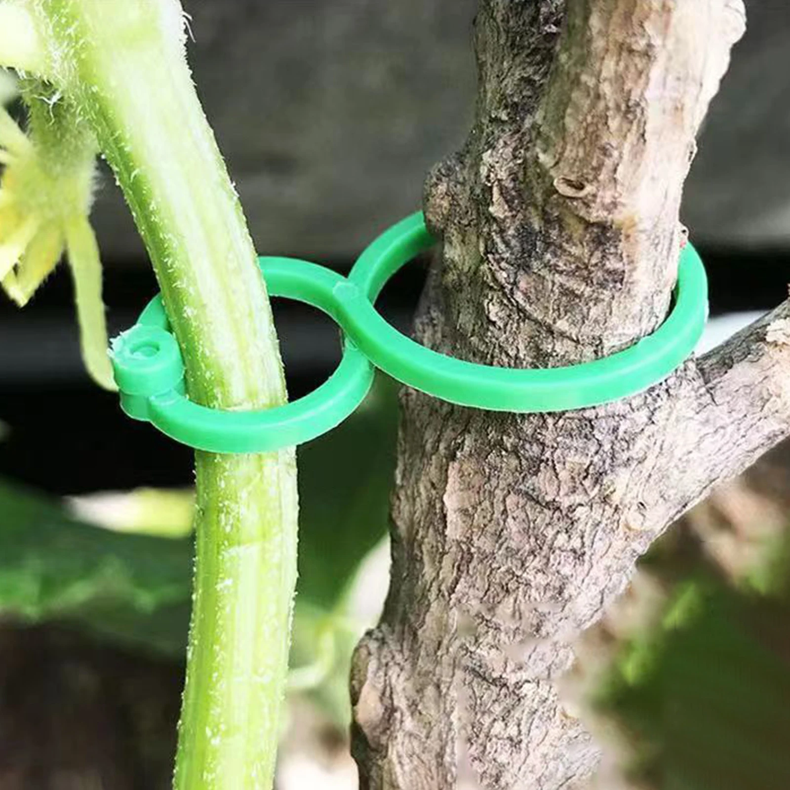 50/100Pcs Plant Vine Strapping Clips Ring Fixed Bundled Buckle Tomato Grape Support Hook Flower Vegetable Growing Upright Holder