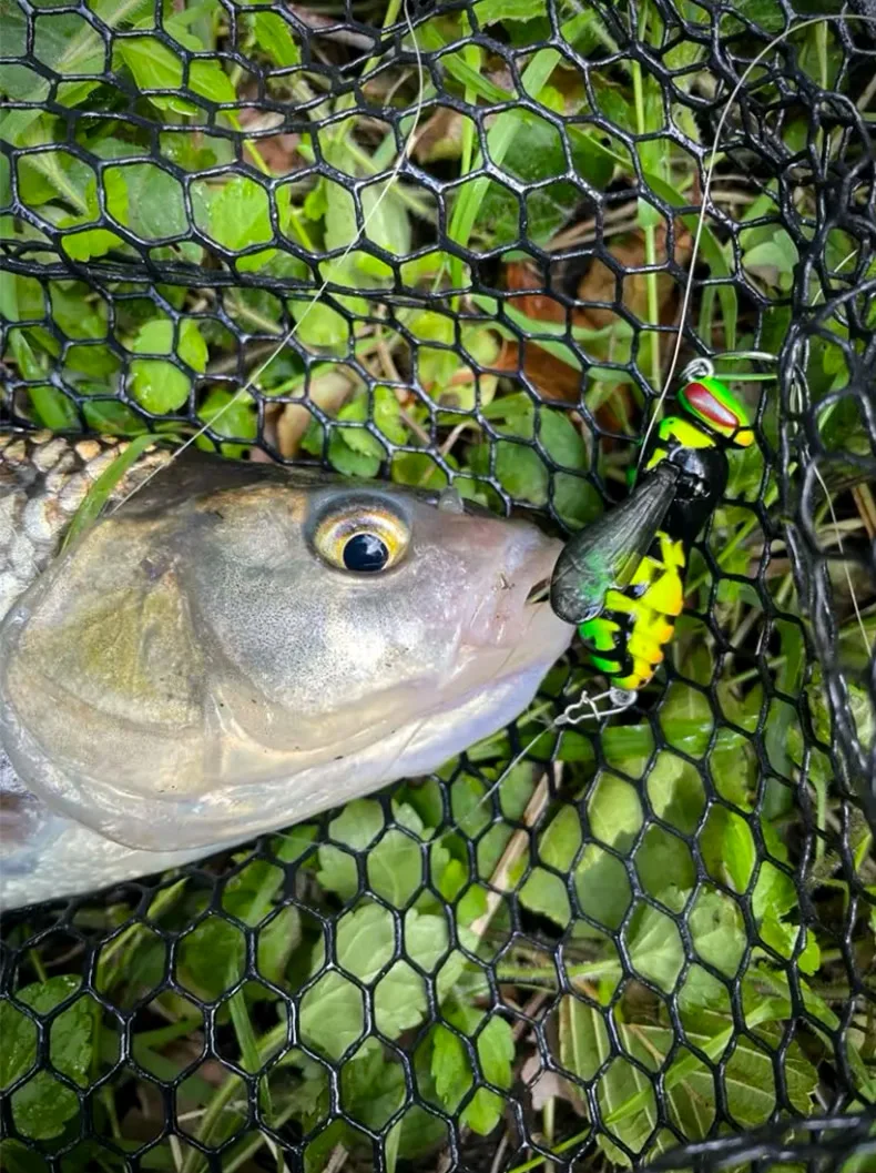Kingdom Wasp Crawl Bait Schwimmender Angelköder 4,2g/40mm 6,6g/48mm Insekten-Bionik-Swimbaits Oberflächenköder Künstlicher Harter Köder – Detail 7