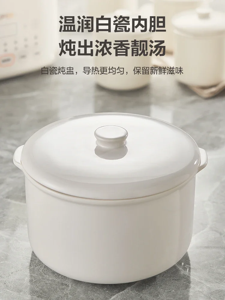 220V Versatile Electric Ceramic Stewpot for Soup, Bird's Nest and Congee