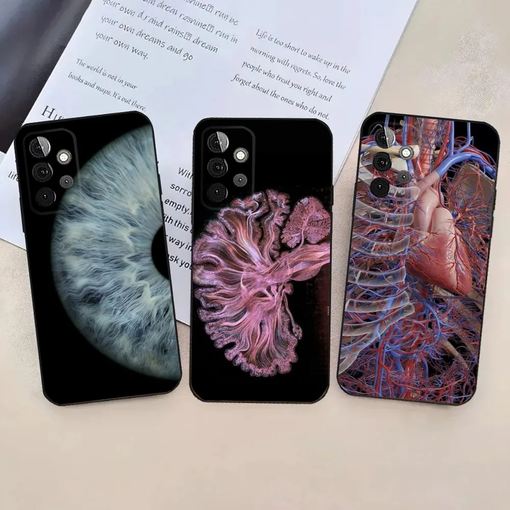 Medical Human Anatomy  Phone Case For Samsung Galaxy A13,21s,22,31,32,52,53,71,80,91 Soft Black Cover