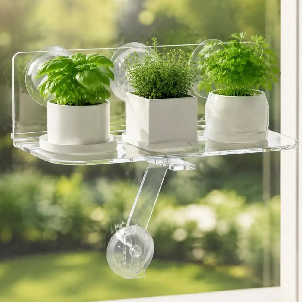 Window Sill Plant Shelf With Strong Suction Cups, Clear Acrylic Wall Mounted Floating Ledge, Wall Display Shelf Indoor Plants