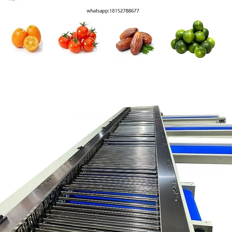 Industrial Automatic Fruit Vegetable Sorting Machine
