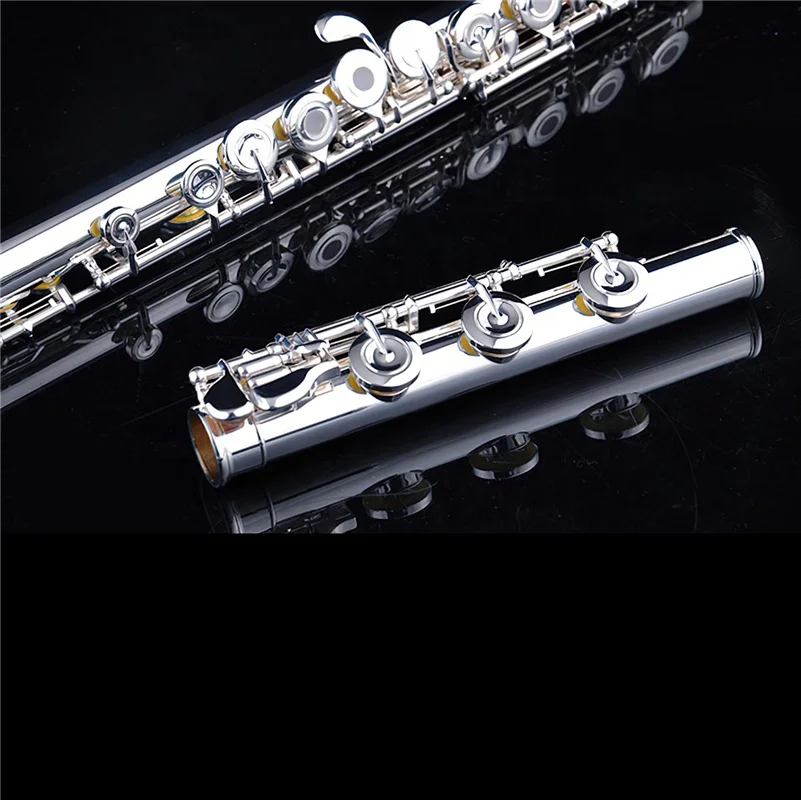 STARWAY Flute F-407 Professional Cupronickel C Key 16 Hole Flute Silver Plated Musical Instruments With Case And Accessories