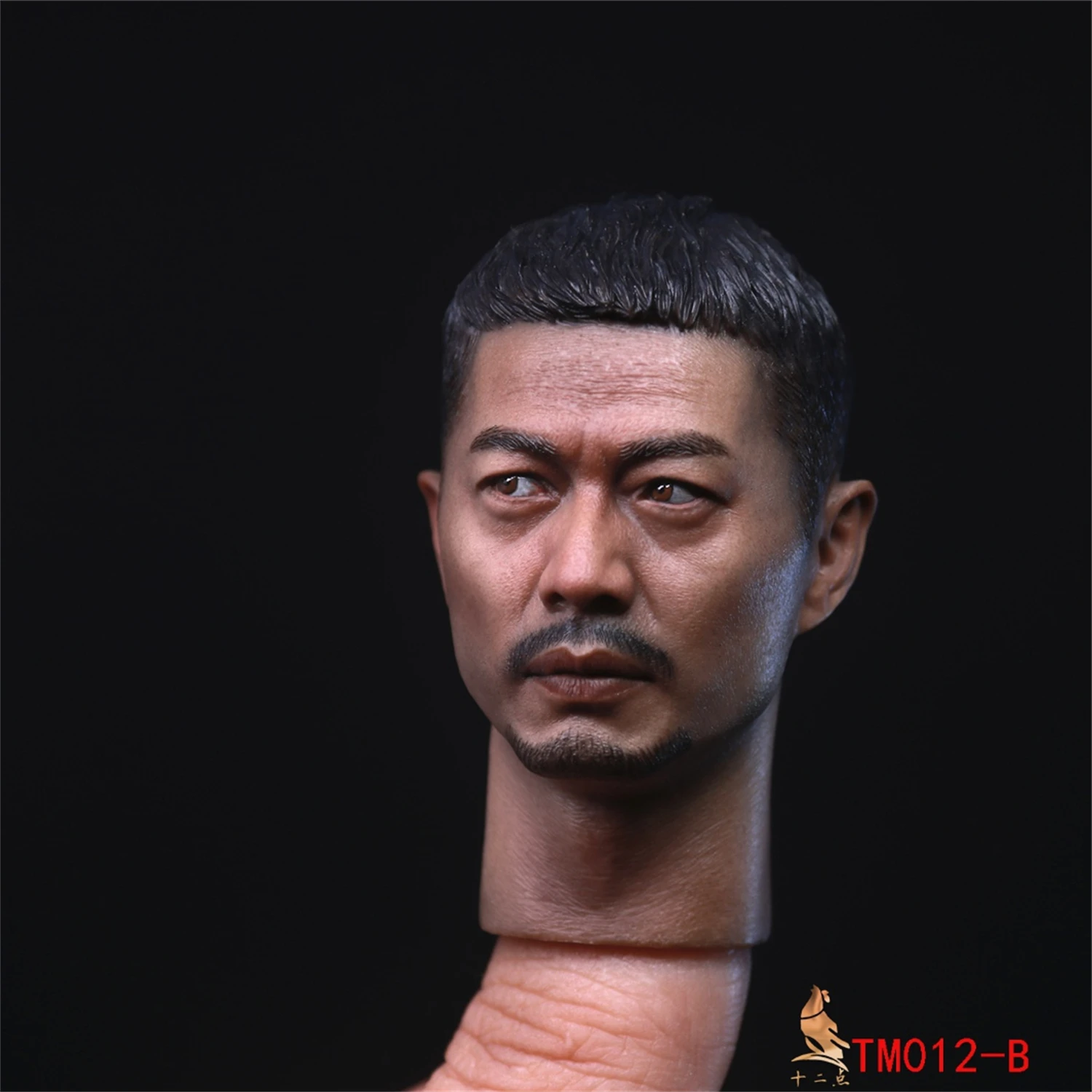 1:6 TM012B Look Sideway Duan Yihong Chinese Actor Battalion Commander Head Carved DIY 12'' Soldier Action Figure