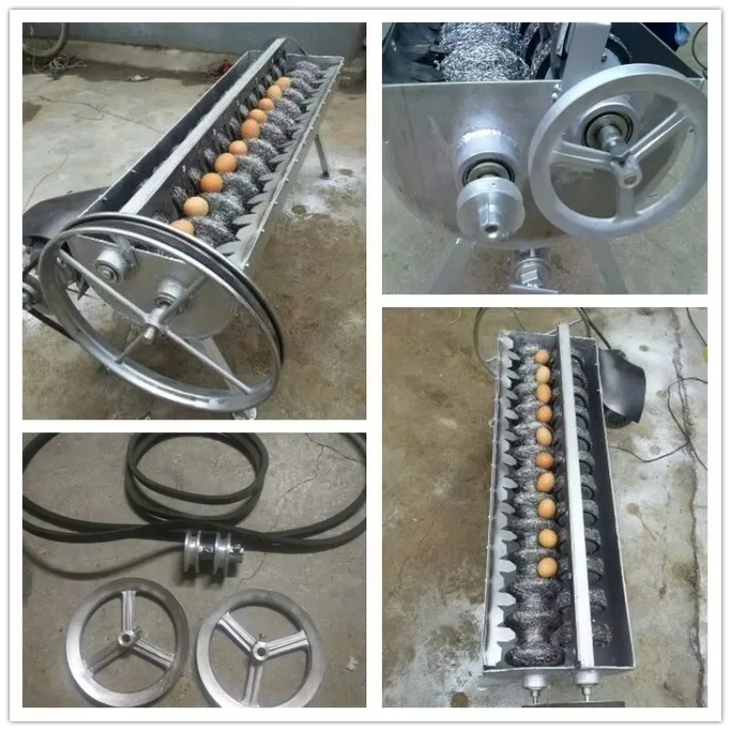 

Fresh Egg Washing Machine /egg Shell Cleaning Machine/ Automatic Egg Cleaner Machine