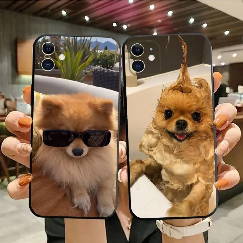 Funny Pomeranian Dogs Phone Case For iPhone15,14,13,12,11,Pro,Max,Plus,Mini,X,XS,XR,8,7,6,S,Plus,SE Soft Black Case