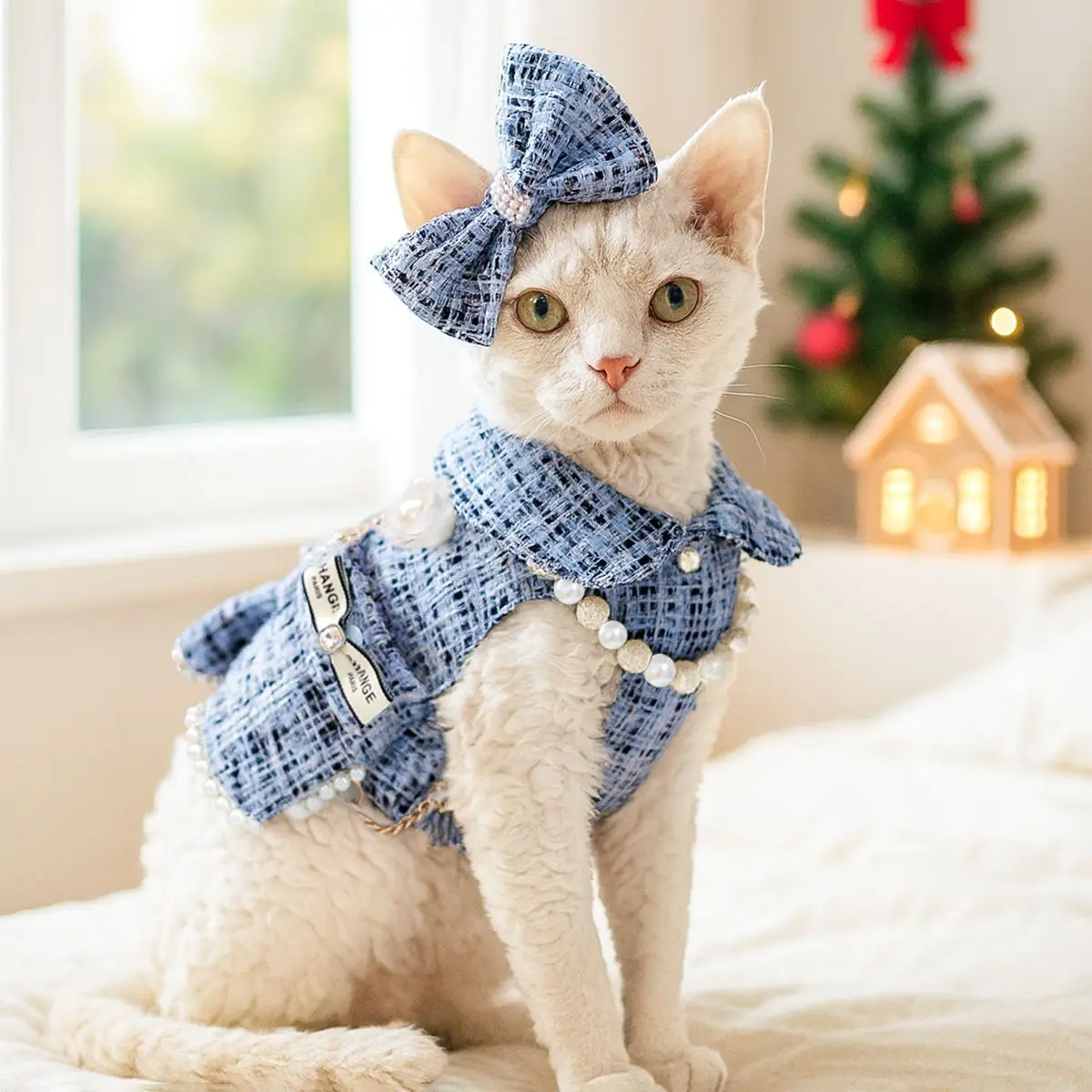 Luxury Princess Coat Set 1
