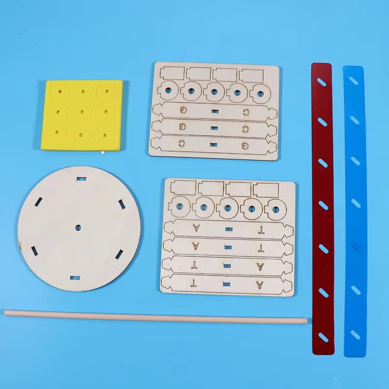 لتقوم بها بنفسك نماذج الحمض النووي البشرية اللولب ألعاب علمية تعميم التدريس تعلم التعليم لعب للأطفال أطفال لعب للتعلم 0 بيع ب