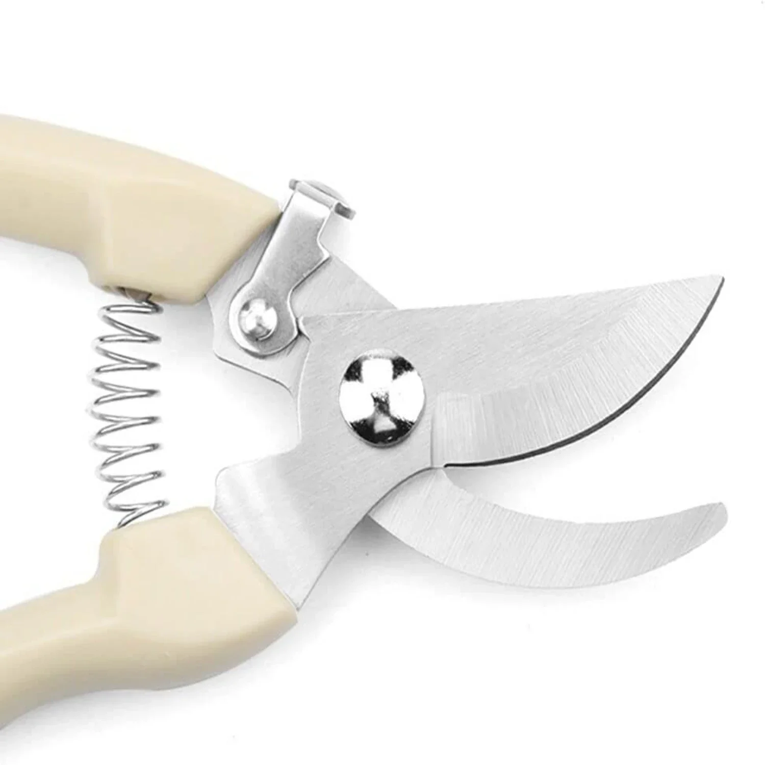 

Профессиональный секатор для сада - ножницы Садовая машина-измельчитель Ножницы-щетки (cdus-jdX11) Садоводство Jardinage