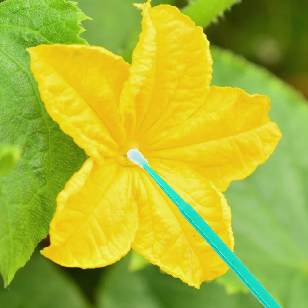 

Pollination Pen Flowering Plants Tool Gardening Pollinator Accessories Tomato Pepper Vegetable Plant Efficient