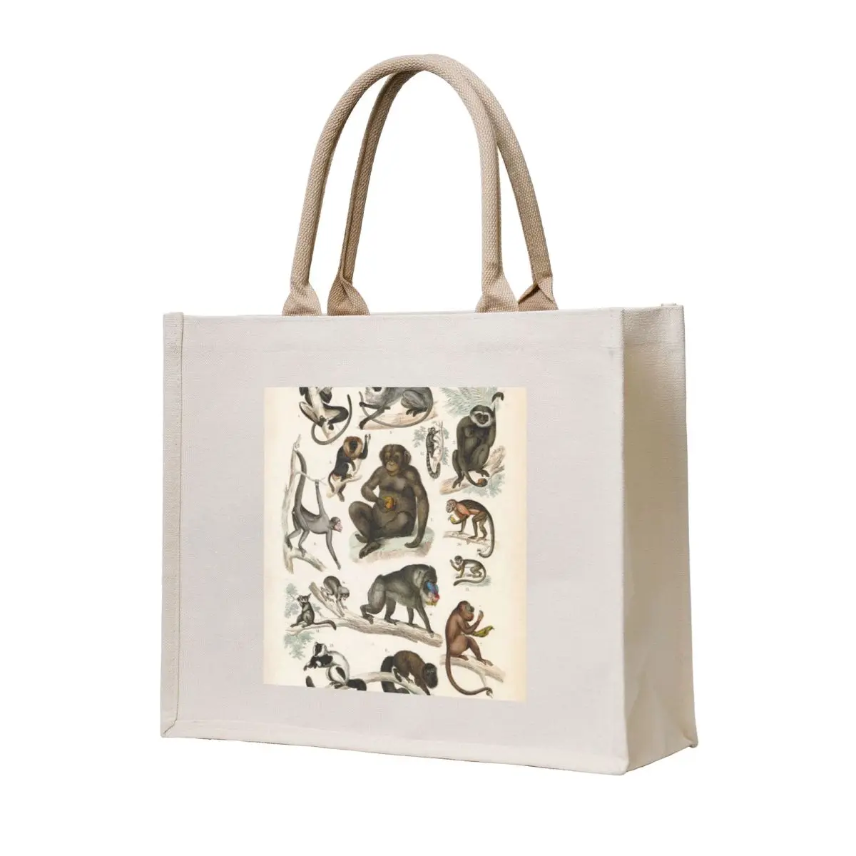 

Vintage zoology illustration - Monkeys Tote Bag Lady bags women bag bag luxury women
