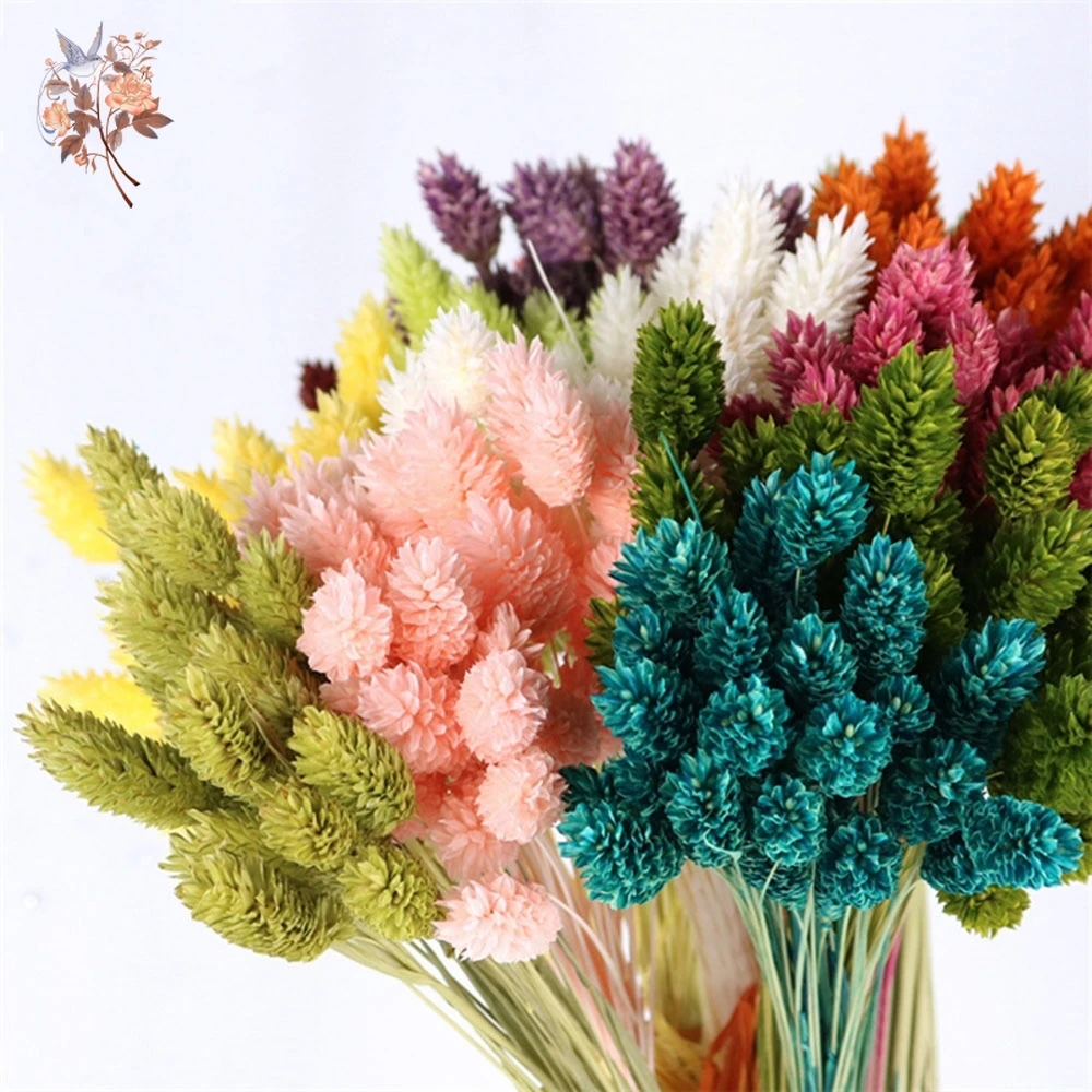 Natural Dried Gem Grass Bouquet Wedding Decoration Real Dry Plant Jewelry Grass Phalaris Preserved Flower Home Living Room Decor