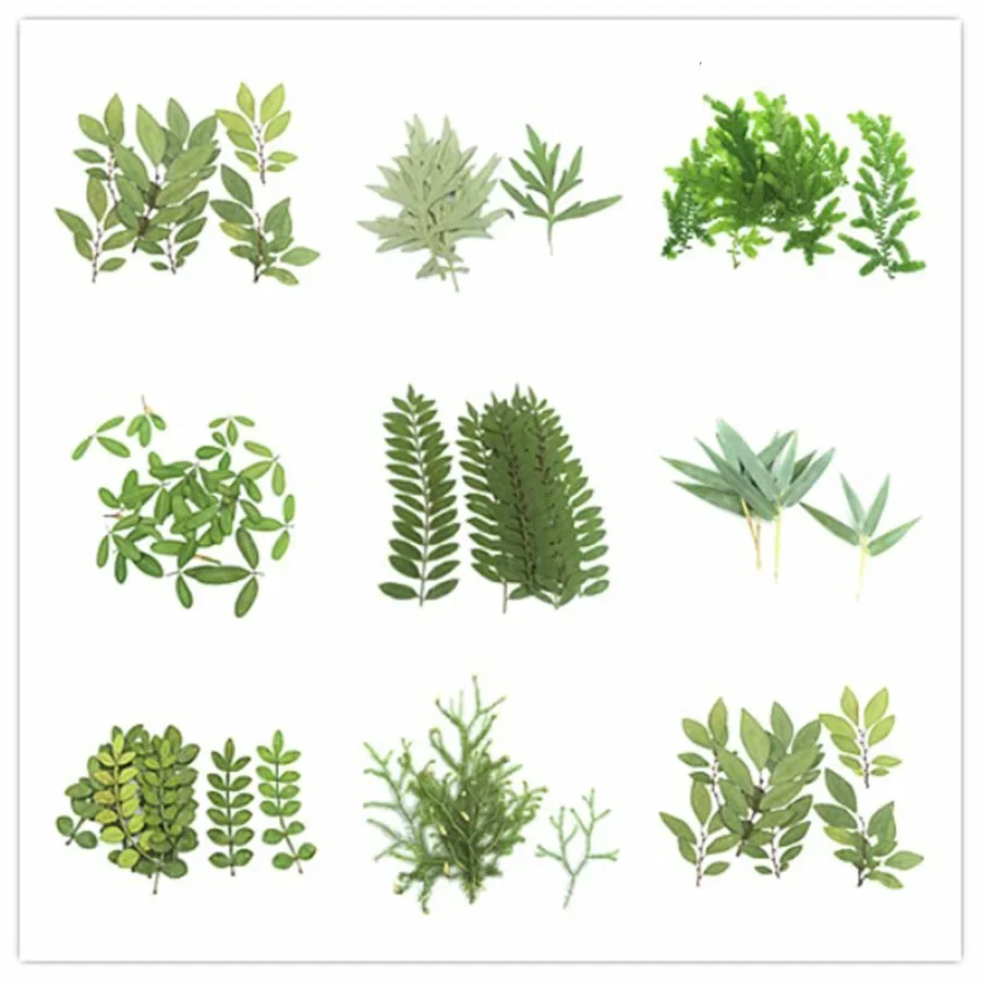 120pcs Green Leaves Plants Herbarium For Jewelry Postcard Phone Case Invitation Card Bookmark DIY Lots of Style For Pick