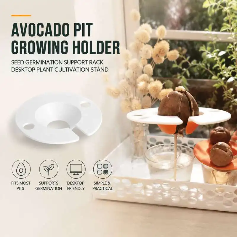 Seed Germination Holder For Avocado Pit Desktop Plant Growing Support Cultivation Accessory