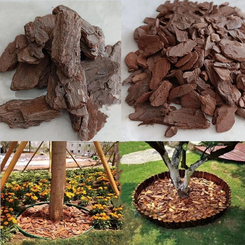 

1kg 3-5cm Pine Scale Polished Pine Bark Organic Cover Natural Plant Materials Garden Landscaping Landscape Pavement Decoration