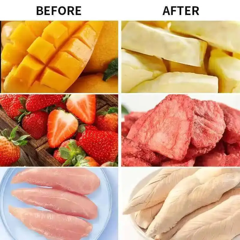 Vacuum freeze-drying machine, pet food freeze-drying machine, dried fruit, cordyceps, loratorio