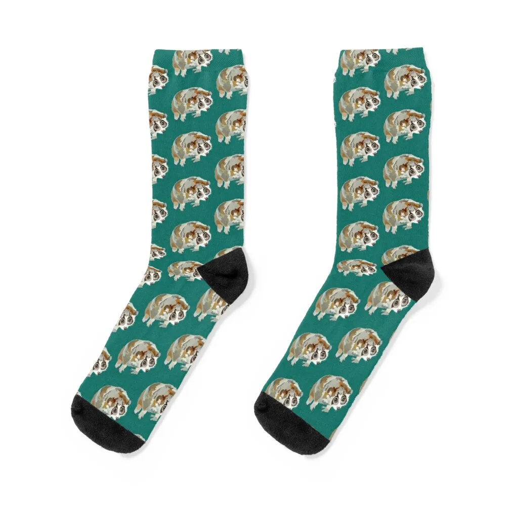 Pygmy Slow Loris Socks