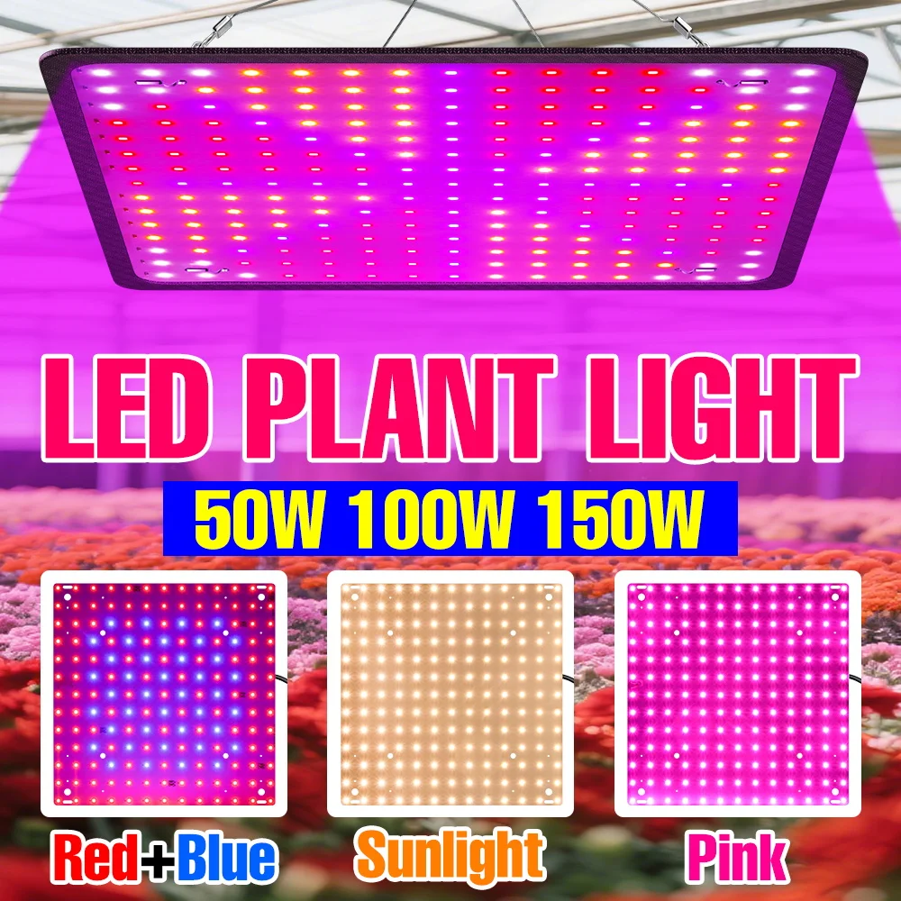 

150W Full Spectrum Quantum Board Plant Grow Light Indoor Flower Cultivation Lamp US/EU Plug For Greenhouse Tent Tomato Vegetable