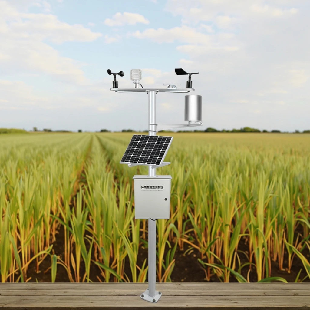 

2026 Mains Power Supply 4G Transmission Multi-Parameter Forest Fire Prevention Professional Meteorological Integrated Weather St