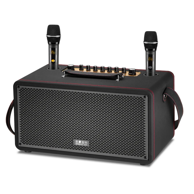 

Karaoke Speaker System Professional Audio Video Subwoofer Speaker Daul Karaoke Machine With Wireless Microphone