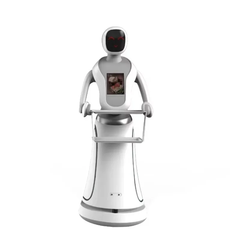 Inquiry Waitress Robot Humanoid Intelligent Kitchen Waiter Robot in Pizzeria