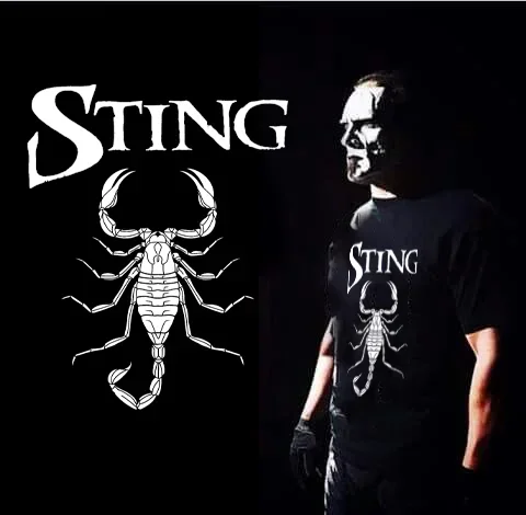 Camiseta con estampado de estrellas de lucha libre para hombre, Top de moda, Harajuku, Sting, color negro, Verano