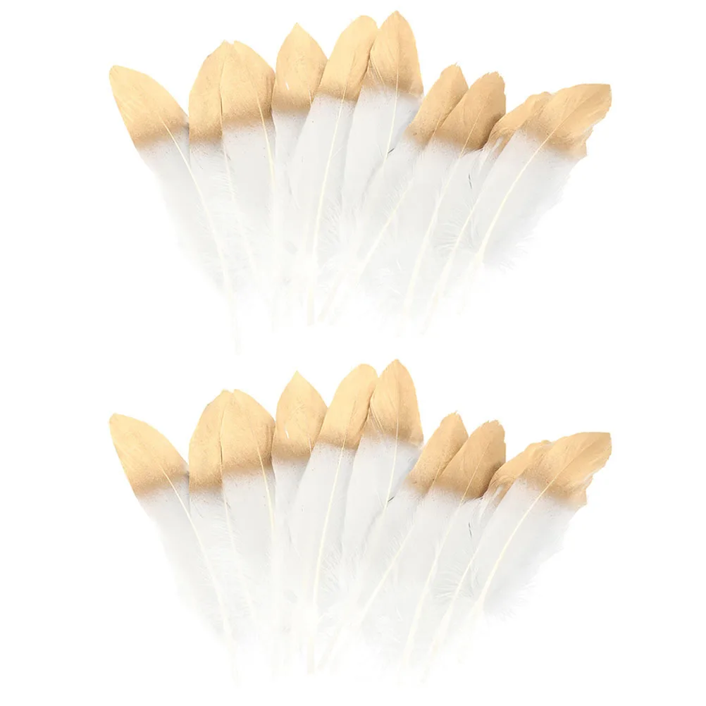 

25Pcs Delicate Plumes for DIY Crafts Not Easy to Fade Home Decoration Costume Props DIY Plumes Plume Bulk Plume Ornament
